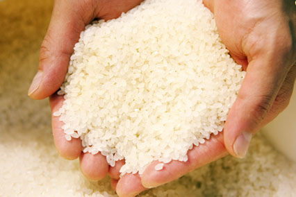 【令和5年度産】水の都 大垣米 ～わごうめぐみ米～ 10kg【特別栽培米レンゲハツシモ】
