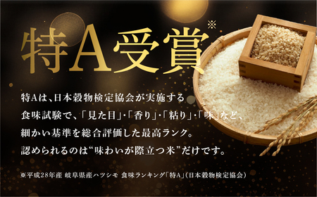 新米 令和7年度産 ハツシモ 10kg|新米