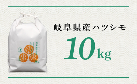 新米 令和7年度産 ハツシモ 10kg|新米