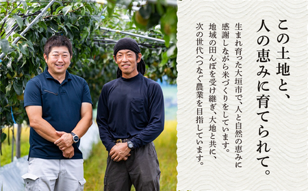 新米 令和7年度産 ハツシモ 10kg|新米