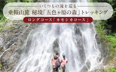 平湯温泉「匠の宿 深山桜庵」2泊3日 ＆ 五色ヶ原の森トレッキング（カモシカコース）＋送迎付き【期間限定:2025年/2026年6月～10月】| 温泉 宿泊券 五色ヶ原の森  トレッキング 飛騨高山 高山エース旅行センター LQ002