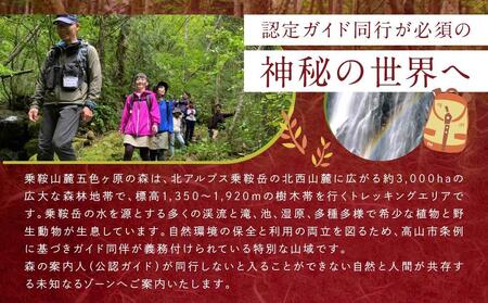 平湯温泉「匠の宿 深山桜庵」2泊3日 ＆ 五色ヶ原の森トレッキング（カモシカコース）＋送迎付き【期間限定:2025年/2026年6月～10月】| 温泉 宿泊券 五色ヶ原の森  トレッキング 飛騨高山 高山エース旅行センター LQ002