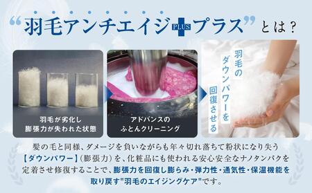 おまかせ羽毛掛布団 リフレッシュ3枚 布団カバーもつけたまま 宅配袋に入れておくるだけ 脱着不要 クリーニング アドバンス飛騨 MX006