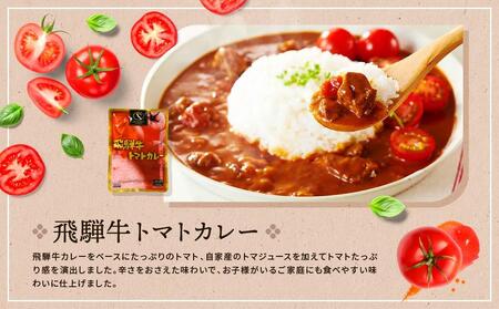 訳あり 飛騨牛レトルト４種１２袋！ バラエティセット 飛騨牛 肉 牛 カレー ビーフカレー トマトカレー ビーフシチュー デミハヤシ レトルト 12袋 簡易包装 レトルトカレー ご当地カレー おいしい 便利 飛騨高山 ふるさと清見21 DC002