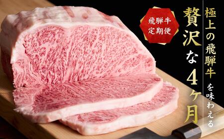 【全4回】「飛騨牛定期便」肉 飛騨牛 定期便 約1.9kg 牛肉 しゃぶしゃぶ 焼肉 すき焼き ステーキ 山武商店 飛騨牛のこもり ZZ002 【飛騨牛 和牛ブランド 飛騨牛 黒毛和牛 飛騨牛 岐阜 飛騨牛】