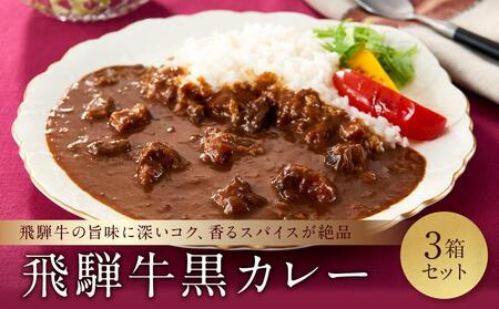 喜八郎謹製 リッチなコクの飛騨牛黒カレー（230g×3箱）| 焙煎スパイス薫る レトルト カレー 黒カレー 飛騨牛 スパイス 食品 山一商事 EN002