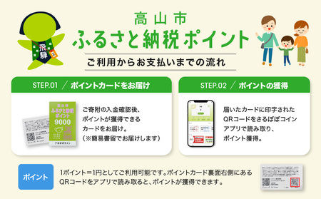 高山市ふるさと納税ポイント 3,000pt【飛騨信用組合 SB002】