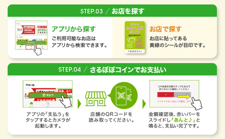 高山市ふるさと納税ポイント 3,000pt【飛騨信用組合 SB002】