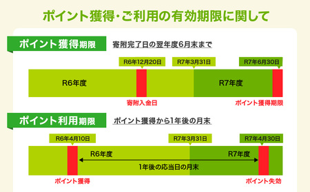 高山市ふるさと納税ポイント 15,000pt【飛騨信用組合 SB005】