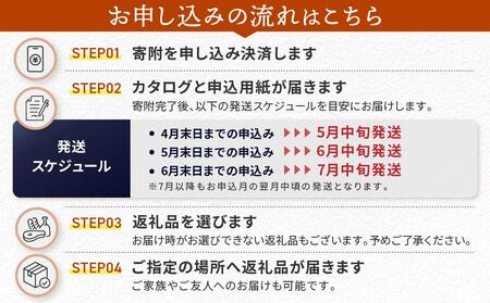 えらべるカタログ 10万円コース あとから選べる 飛騨牛 お米 家具 木工 カレー ラーメン 色々選べる カタログ 選べる 定期便 フルーツ 果物 肉 野菜 焼肉 あとからセレクト 【飛騨高山 高山市 】 EQ001