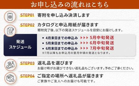 後から選べる 飛騨高山カタログ 100万円コース | あとから選べる 飛騨牛 お米 家具 木工 カレー ラーメン 色々選べる カタログ 選べる 定期便 フルーツ 果物 肉 野菜 焼肉 あとからセレクト 【飛騨高山 高山市 】 EQ005