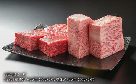 飛騨牛 ブロック肉[塊]  (霜降り / 赤身 2種 牛肉 計1.2kg) 　ローストビーフ ステーキ  肉 食べ比べ【飛騨高山ミート MZ024】