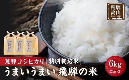 【令和7年産】飛騨コシヒカリ 白米 6kg（2kg×3） 特別栽培米 うまいうまい飛騨の米 | こしひかり お米 精米したて 節減農薬米 のし対応 飛騨高山 ファームジネンいいむら GG005