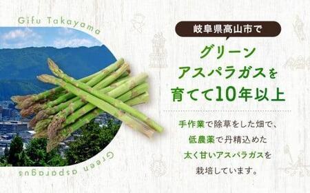 【2025年発送 先行予約】ひだっこ アスパラ 600g グリーンアスパラガス アスパラガス 飛騨産 野菜 春  夏  産地直送 新鮮   CM001VC01