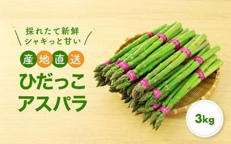 【2026年発送・先行受付】ひだっこアスパラ 3.0kg  |アスパラガス 春 夏野菜 産地直送 新鮮 おいしい 人気 ひだっこの里 CM005VC01