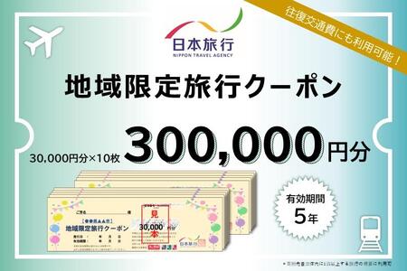 岐阜県高山市　日本旅行　地域限定旅行クーポン300,000円分 | 高山市への旅行に使える割引クーポン 旅行 割引 クーポン チケット 宿泊 飛騨高山 株式会社日本旅行 NU006