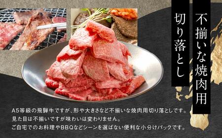 訳あり A5等級 飛騨牛 焼肉 切り落とし600g | 牛肉 黒毛和牛 BBQ 肉料理 ブランド牛 不揃い 株式会社岩ト屋 HF040〔飛騨牛国産　飛騨牛和牛　飛騨牛ブランド　飛騨牛黒毛和牛〕