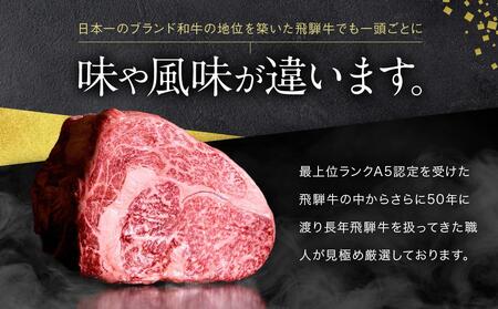 A5等級 飛騨牛 プレミアム 焼肉 切り落とし 600g | 牛肉 黒毛和牛 BBQ 肉料理 ブランド牛 訳あり 不揃い 株式会社岩ト屋 HF042〔飛騨牛国産　飛騨牛和牛　飛騨牛ブランド　飛騨牛黒毛和牛〕