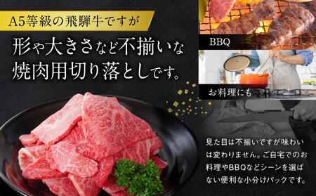 A5等級 飛騨牛 プレミアム 焼肉 切り落とし 600g | 牛肉 黒毛和牛 BBQ 肉料理 ブランド牛 訳あり 不揃い 株式会社岩ト屋 HF042〔飛騨牛国産　飛騨牛和牛　飛騨牛ブランド　飛騨牛黒毛和牛〕