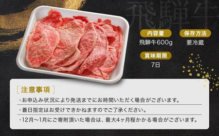 A5等級 飛騨牛 プレミアム 焼肉 切り落とし 600g | 牛肉 黒毛和牛 BBQ 肉料理 ブランド牛 訳あり 不揃い 株式会社岩ト屋 HF042〔飛騨牛国産　飛騨牛和牛　飛騨牛ブランド　飛騨牛黒毛和牛〕