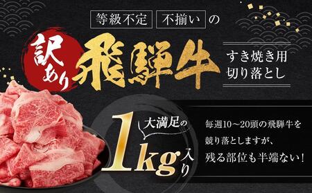 【1月配送】訳あり 飛騨牛すき焼き用切り落とし（不揃い・大容量）1kg | 飛騨牛 肉  飛騨高山 小分け 肉の匠家 BV026VC01〔飛騨牛　飛騨牛和牛　飛騨牛ブランド　飛騨牛黒毛和牛〕