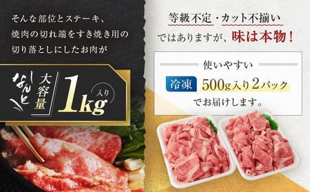 【2月配送】訳あり 飛騨牛すき焼き用切り落とし（不揃い・大容量）1kg | 飛騨牛 肉 飛騨高山 小分け 鍋 肉の匠家 BV026VC02〔飛騨牛国産　飛騨牛和牛　飛騨牛ブランド　飛騨牛黒毛和牛〕