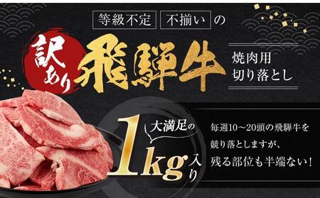 【2月配送】訳あり 飛騨牛焼肉用切り落とし たっぷり1kg （不揃い・大容量）| 飛騨牛 肉 高山 肉の匠家 BV027VC02〔飛騨牛国産　飛騨牛和牛　飛騨牛ブランド　飛騨牛黒毛和牛〕