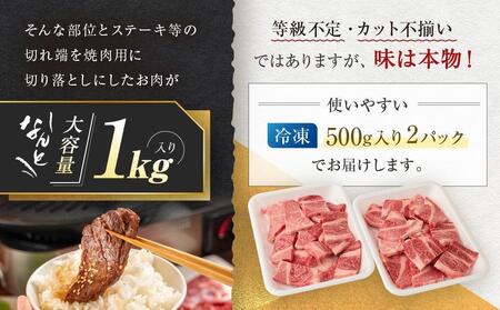 【2月配送】訳あり 飛騨牛焼肉用切り落とし たっぷり1kg （不揃い・大容量）| 飛騨牛 肉 高山 肉の匠家 BV027VC02〔飛騨牛国産　飛騨牛和牛　飛騨牛ブランド　飛騨牛黒毛和牛〕