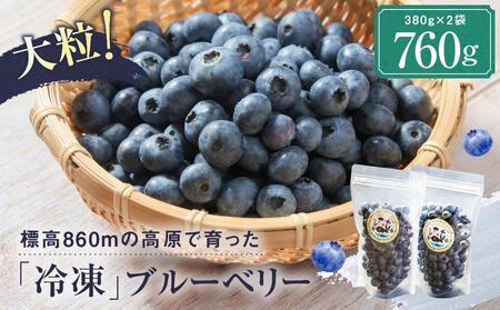 治助ファームの北部ハイブッシュブルーベリー「冷凍果実」380g×2袋 | 国産 ブルーベリー LJ004VC13