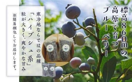 治助ファームの北部ハイブッシュブルーベリー「冷凍果実」380g×2袋 | 国産 ブルーベリー LJ004VC13