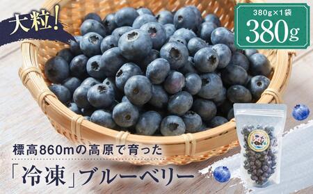 岐阜県(高山市)】【定期便】治助ファームの北部ハイブッシュ