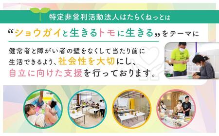 【ショウガイと生きる、トモに生きる】どの柄が届くかはお楽しみ!紙で作ったクリアファイル | 資源再利用 SDGs アート 飛騨高山 絵画 イラスト 特定非営利活動法人はたらくねっと PK001