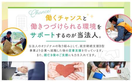 【ショウガイと生きる、トモに生きる】どの柄が届くかはお楽しみ!紙で作ったクリアファイル | 資源再利用 SDGs アート 飛騨高山 絵画 イラスト 特定非営利活動法人はたらくねっと PK001