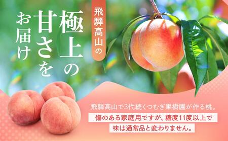 【2026年発送・先行受付】【訳あり】飛騨の桃（4-8玉) 糖度11度以上 品種おまかせ ご家庭用｜桃 もも 極上の甘さ 濃厚な甘さ 甘い 訳アリ 規格外 朝採り 朝採れ農家直送 10000円 つむぎ果樹園 GH009