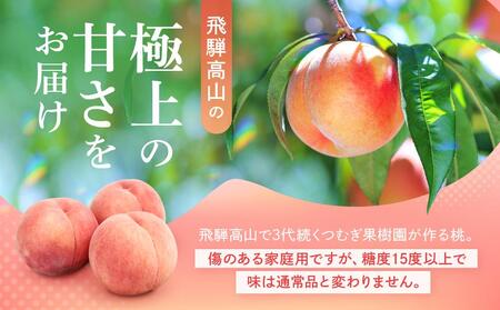 【2026年発送・先行受付】【訳あり】飛騨の桃（4-8玉）糖度15度以上 品種おまかせ ご家庭用｜桃 もも 極上の甘さ 濃厚な甘さ 甘い 訳アリ 規格外 朝採り 朝採れ農家直送 飛騨高山つむぎ果樹園 GH010