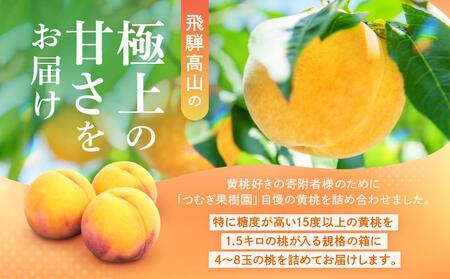 【2026年発送・先行受付】飛騨のたから桃（4-8玉）糖度15度以上 黄桃｜桃 もも おうとう 極上の甘さ 濃厚な甘さ 甘い 贈答 高級 特選 朝採り 飛騨の朝採り桃 朝採れ農家直送 飛騨高山 つむぎ果樹園 GH011