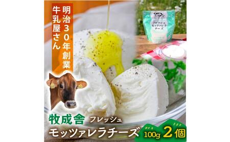 ＜牧成舎＞飛騨の牛乳屋さんが作った こだわりの フレッシュモッツァレラチーズ（100g×2個）| チーズ 国産 乳製品 牛乳 低温殺菌 おいしい ナチュラルチーズ モッツァレラ  (有)牧成舎 DF036