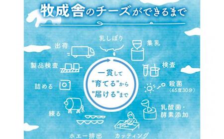 ＜牧成舎＞飛騨の牛乳屋さんが作った こだわりの フレッシュモッツァレラチーズ（100g×2個）| チーズ 国産 乳製品 牛乳 低温殺菌 おいしい ナチュラルチーズ モッツァレラ  (有)牧成舎 DF036