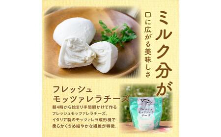 ＜牧成舎＞飛騨の牛乳屋さんが作った こだわりの乳製品お試しセット（牛乳1L×1本・のむヨーグルト750ml×1本・モッツァレラチーズ100g×1個）| 低温殺菌 無添加 牛乳 ヨーグルト チーズ 乳製品 おいしい セット 飛騨高山 (有)牧成舎 DF042