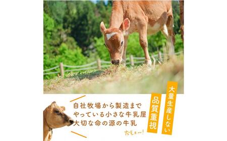 ＜牧成舎＞飛騨の牛乳屋さんが作った こだわりの乳製品お試しセット（牛乳1L×1本・のむヨーグルト750ml×1本・モッツァレラチーズ100g×1個）| 低温殺菌 無添加 牛乳 ヨーグルト チーズ 乳製品 おいしい セット 飛騨高山 (有)牧成舎 DF042