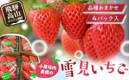 【2026年先行予約】雪見いちご 約200g×4パック | 糖度が高くてほどよい酸味 数量限定 イチゴ フルーツ 果物 いちご 品種おまかせ（紅かおり／山天王／他品種）飛騨高山 小屋垣内農園 JA002