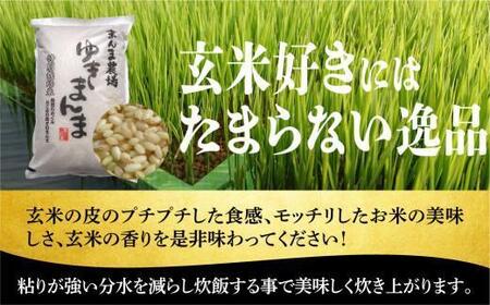 【令和7年度産 新米】飛騨ゆきまんま 玄米 5kg | 玄米食 特別栽培米 地域限定 特別優秀賞 飛騨高山 まんま農場 LT004VC13