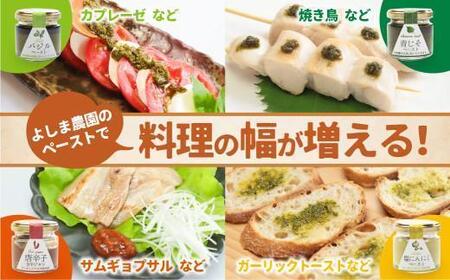 自然栽培調味料シリーズ 唐辛子旨辛ジャン 塩にんにく ペースト 塩  飛騨高山よしま農園 CK010VC13