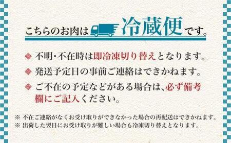 飛騨牛 サーロインステーキ 600g(200g×3)| A5等級 牛肉 和牛 ブランド牛 雌牛 牝牛 バーベキュー キャンプ 飛騨高山 肉の朝日屋 JX009VC13