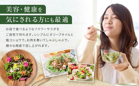 飛騨高山野菜『おおごっつぉ』付植物工場見学（大人２人、小人１人）| 工場見学 体験学習 長期連休 グリーンリーフ 園芸 チケット 旅行 飛騨高山 株式会社FDS HS005