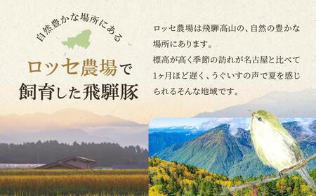 飛騨豚 焼肉・しゃぶしゃぶセット 合計1kg｜ロース 大容量 たっぷり 肉 セット 食べ比べ BBQ 鍋 豚肉 高山米穀協業組合 FA010VC13