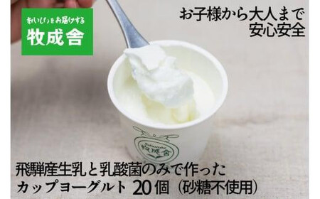 砂糖不使用 プレーンヨーグルト 20個 飛騨の牛乳屋 牧成舎 生乳100％ 朝食におすすめ 無糖ヨーグルト プレーンヨーグルト 砂糖不使用 生乳 ヨーグルト 乳製品 牧成舎 DF006VC13