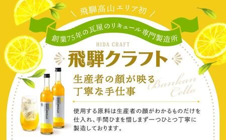 バンカンチェッロ500ml 2本セット | 和製リキュール 河内晩柑 アルコール 酒 サワー 有限会社森瓦店 MM023