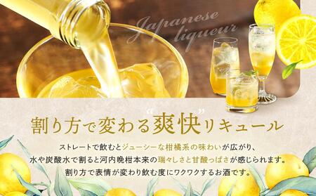 バンカンチェッロ180ml 6本セット| 和製リキュール 河内晩柑 アルコール 酒 サワー 有限会社森瓦店 MM026