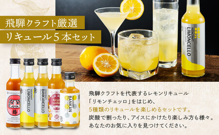 飛騨クラフト 人気リキュール 飲み比べ 5本セット | リキュール レモン 梅 オレンジ 河内晩柑 カクテル サワー アイス 酒 アルコール 有限会社森瓦店 MM030